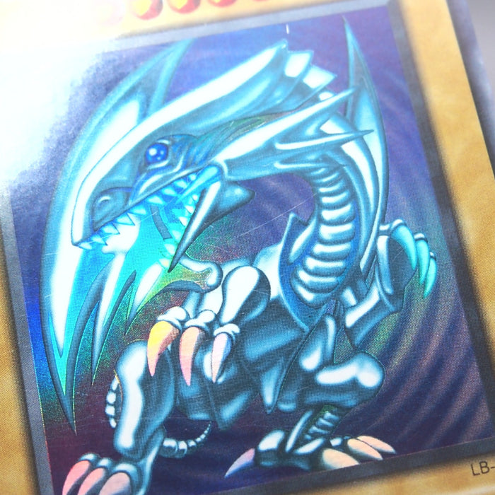 Image #7