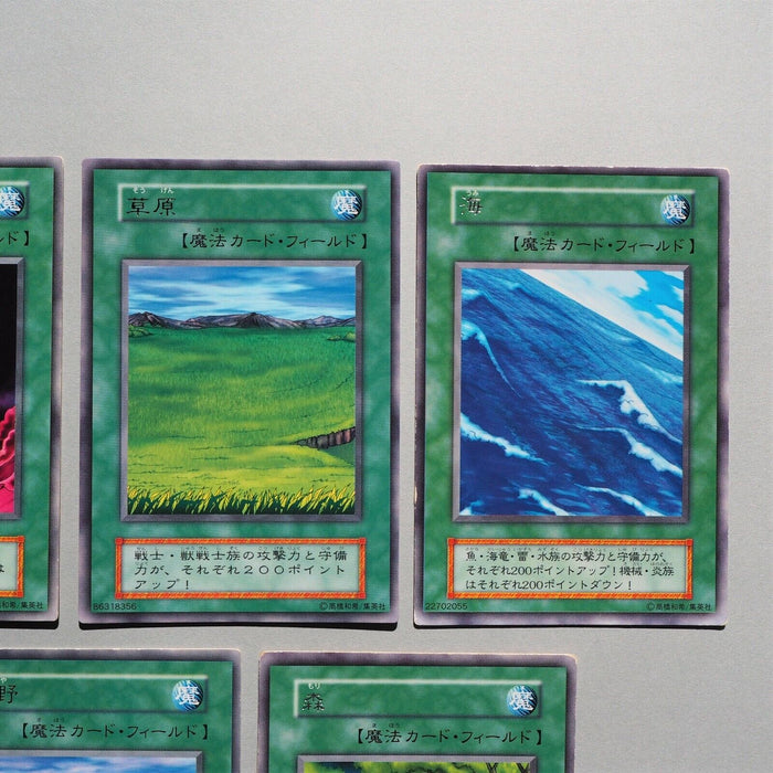 Yu-Gi-Oh Wasteland Umi Sogen Forest Yami Old Field 1st 5cards Initial Japan c243 | Merry Japanese TCG Shop