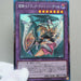 YuGiOh Dark Magician Girl Dragon Knight RC03-JP020 Collectors MINT~NM Japan a857 | Merry Japanese TCG Shop