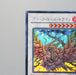 Yu-Gi-Oh yugioh Black Rose Dragon CSOC-JP039 Holo Ghost MINT~NM Japanese e154 | Merry Japanese TCG Shop