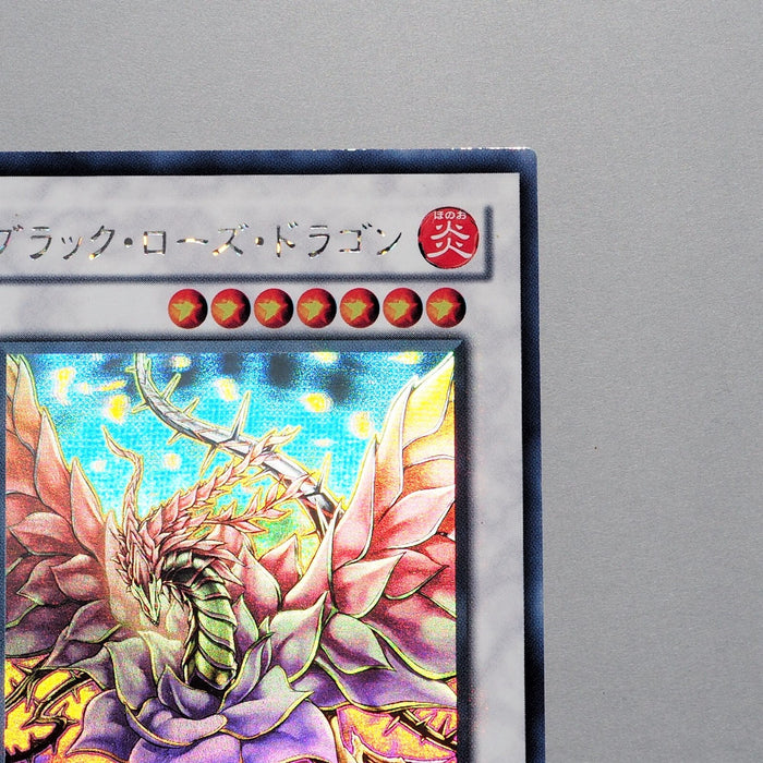 Yu-Gi-Oh yugioh Black Rose Dragon CSOC-JP039 Holo Ghost MINT~NM Japanese e154 | Merry Japanese TCG Shop