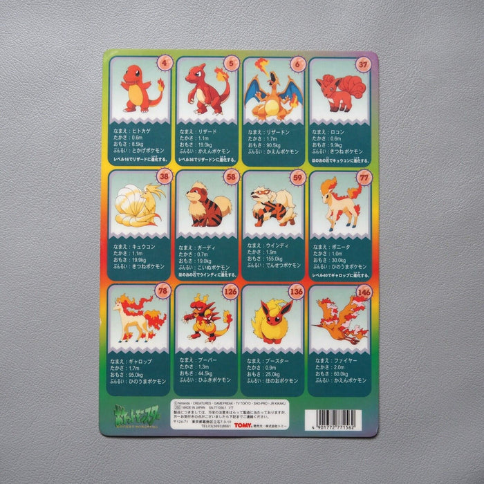 Pokemon Charizard Moltres Flareon Vintage Plastic Board Nintendo TOMY Japanese | Merry Japanese TCG Shop