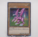 Yu-Gi-Oh yugioh Seiyaryu 15AX-JPM10 Secret Rare MINT~NM Japanese e612 | Merry Japanese TCG Shop