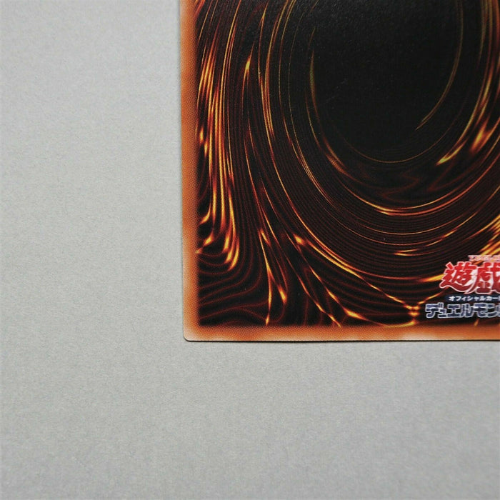 Image #9