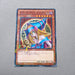 Yu-Gi-Oh yugioh Dark Magician Girl MB01-JP011 Millennium Rare NM Japanese g935 | Merry Japanese TCG Shop