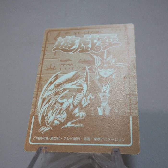Image #6