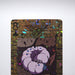 Yu-Gi-Oh yugioh TOEI Poker Card Sleeping Worm Holo 1998 Near MINT Japanese g159 | Merry Japanese TCG Shop