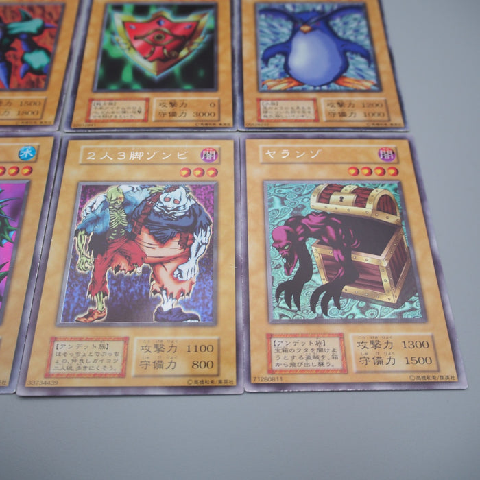 Image #7