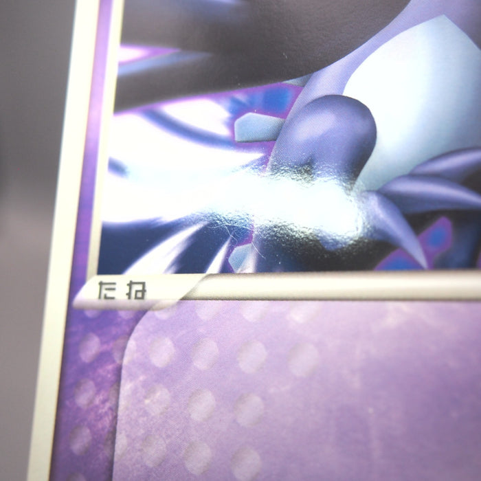 Image #11