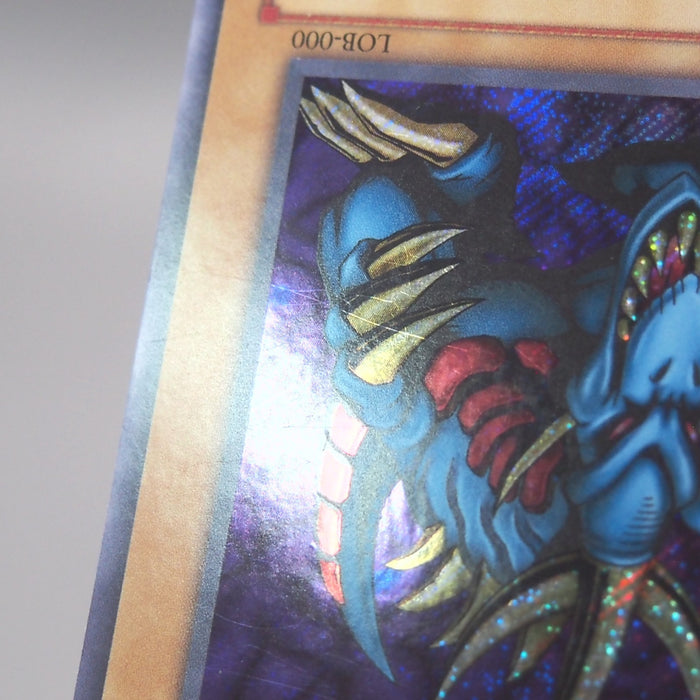 Image #7