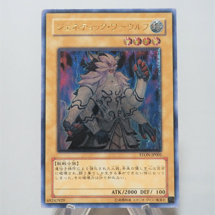 Image #2