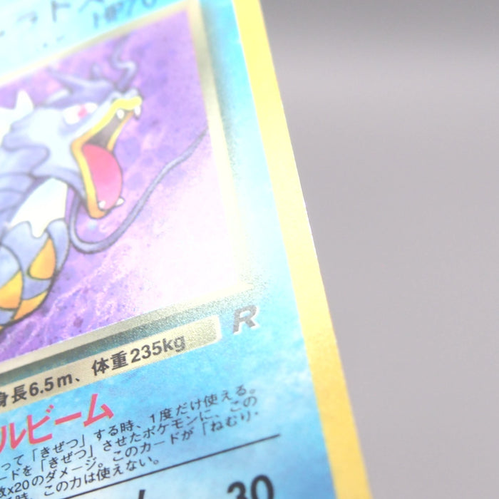 Image #12
