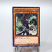 Yu-Gi-Oh yugioh Dark Magician SDMY-JP010 Parallel Rare Near MINT Japanese h391 | Merry Japanese TCG Shop