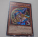 Yu-Gi-Oh yugioh Dark Magician Girl 15AX-JPM01 Secret Rare Japanese f073 | Merry Japanese TCG Shop