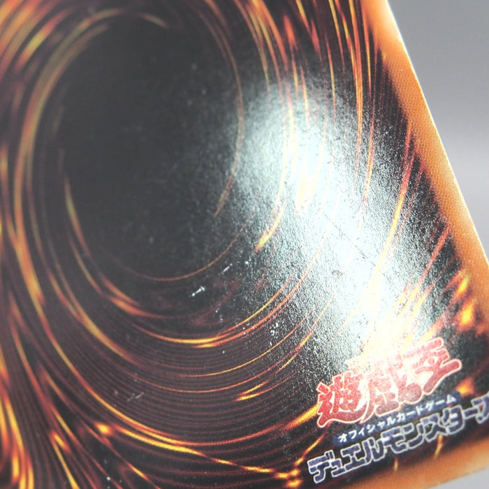 Image #10