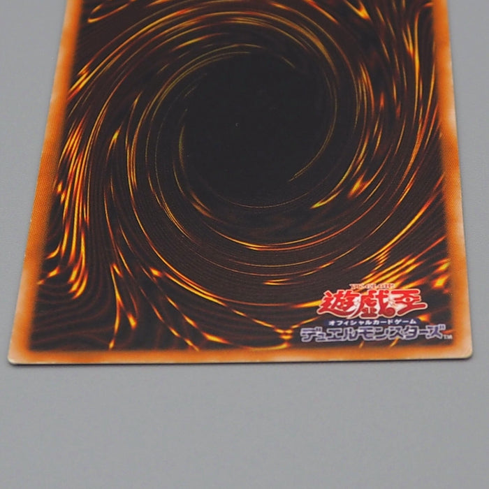 Image #10