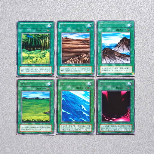 Yu-Gi-Oh Wasteland Umi Sogen Forest Yami Old Field Mountain 6cards Jap