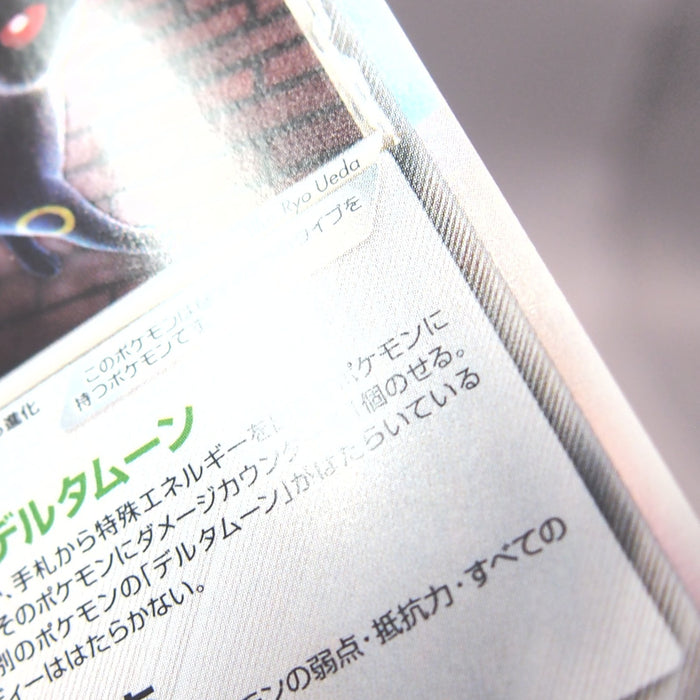 Image #12