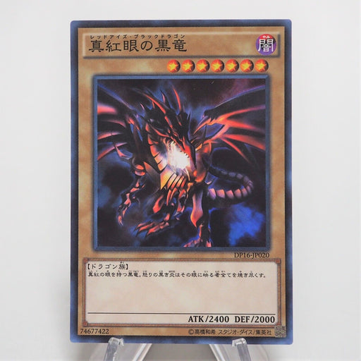 Yu-Gi-Oh Red-Eyes Black Dragon DP16-JP020 Super Rare MINT~NM Japanese e700 | Merry Japanese TCG Shop