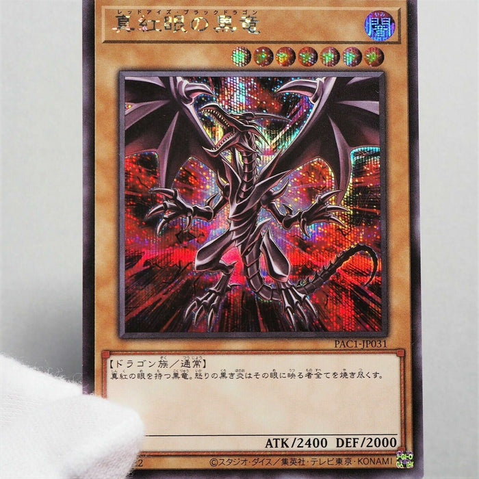 Yu-Gi-Oh yugioh Red-Eyes Black Dragon PAC1-JP031 Secret Mint-NM Japanese a947 | Merry Japanese TCG Shop