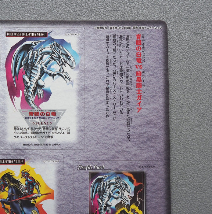 Image #8