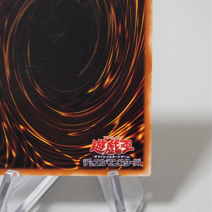Image #10