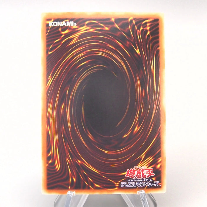 [Dear.loose_archive] 9 set Yu-Gi-Oh u994 s861 u976 v145 v143 u978 u250 u786 s759