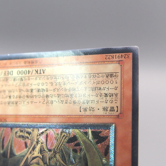 Image #8