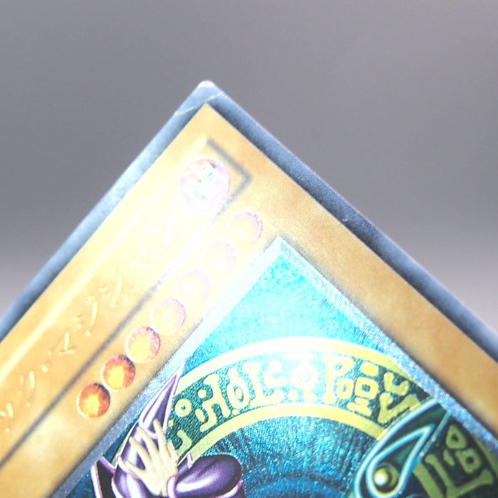 Image #12