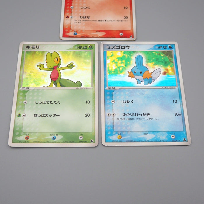 Pokemon Card Torchic Treecko Mudkip 002/019 003/019 2003 Holo EX Japanese r124 | Merry Japanese TCG Shop