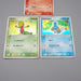 Pokemon Card Torchic Treecko Mudkip 002/019 003/019 2003 Holo EX Japanese r124 | Merry Japanese TCG Shop