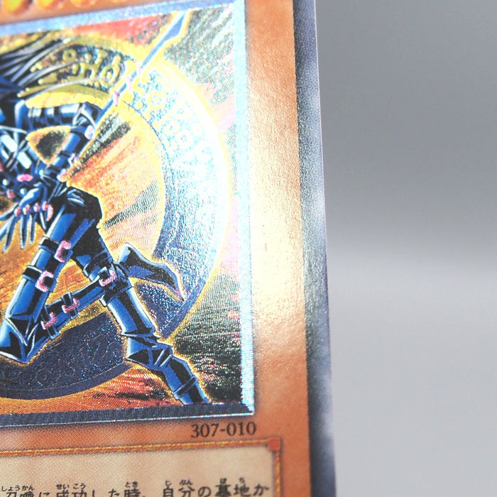 Image #12