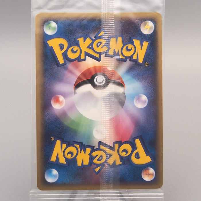 Pokemon Card Rayquaza 041/PCG-P PokePark Promo Sealed Unopened Japanese P368 | Merry Japanese TCG Shop