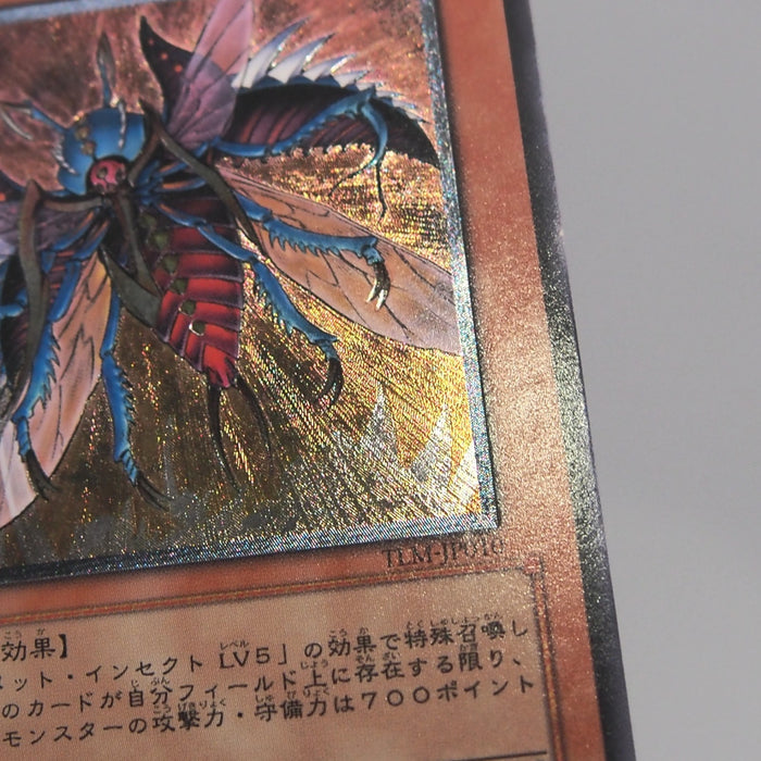 Image #9
