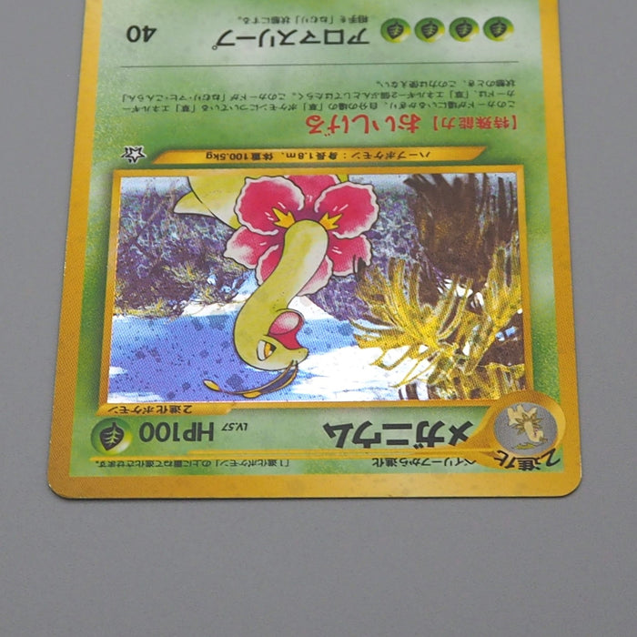 Pokemon Card Meganium Lv.57 No.154 Old Back Holo 2000 Nintendo EX Japanese q247 | Merry Japanese TCG Shop