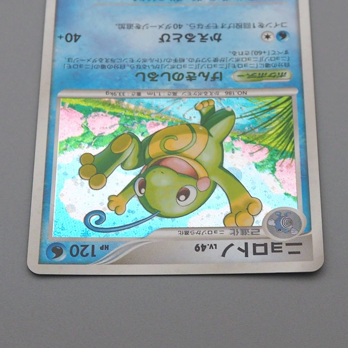 Pokemon Card Politoed Lv.49 DP5 068 Holo Rare 1st Edition 2008 NM Japanese r400