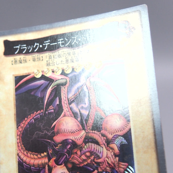 Image #8