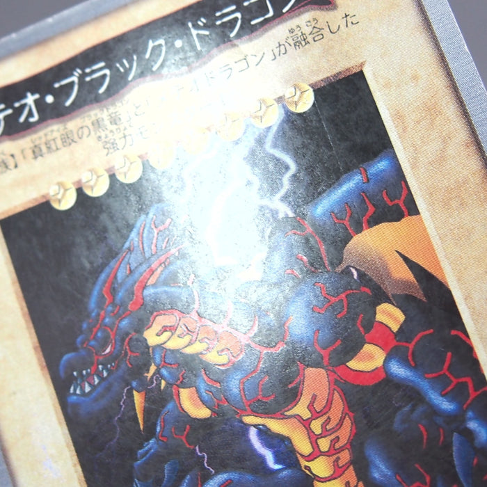 Image #10