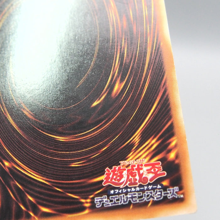 Image #12