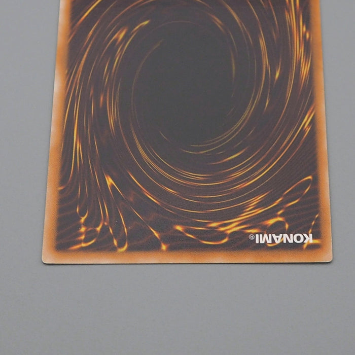 Yu-Gi-Oh Rainbow Dark Dragon PTDN-JP003 Ultimate Rare Near MINT Japanese q409 | Merry Japanese TCG Shop