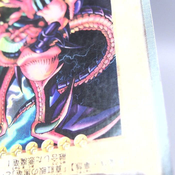 Image #10