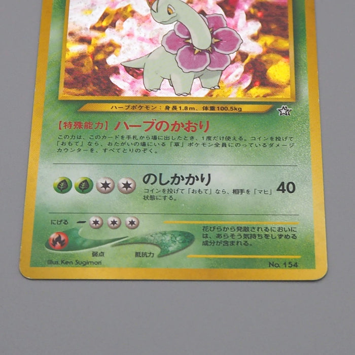 Pokemon Card Meganium Lv.54 No.154 Old Back Holo 2000 Nintendo EX Japanese q249 | Merry Japanese TCG Shop