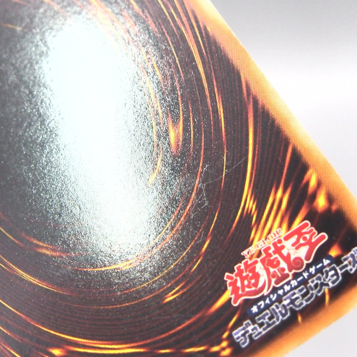 Image #10