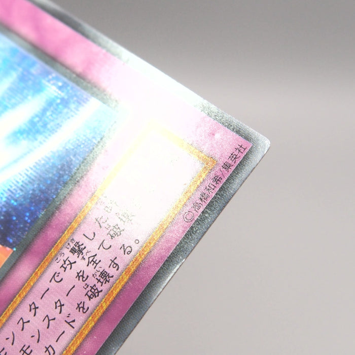 Image #12