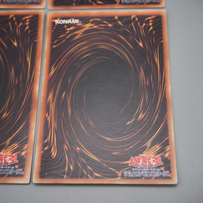 Image #10
