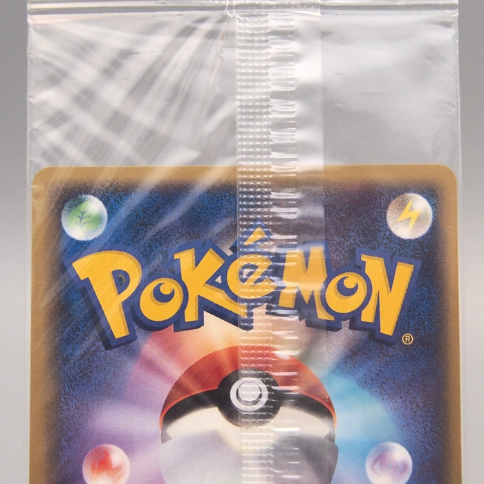 Pokemon Card PokePark's Pikachu 043/PCG-P Promo Sealed Unopened Japanese P372 | Merry Japanese TCG Shop