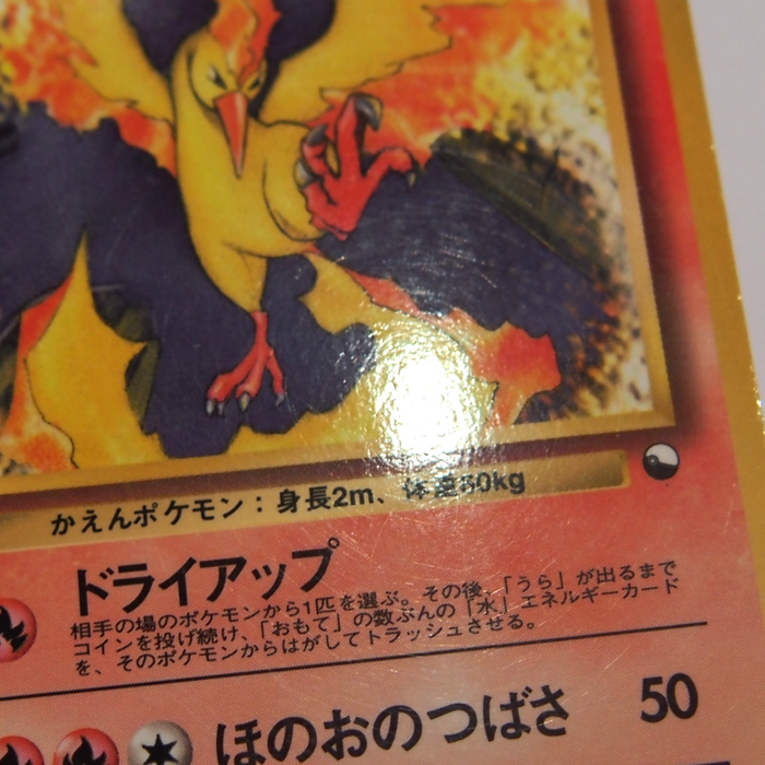 Image #10