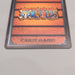 One Piece Card Nami RG-C11 Carddass EX Common 2002 M-NM Japanese u503 | Merry Japanese TCG Shop