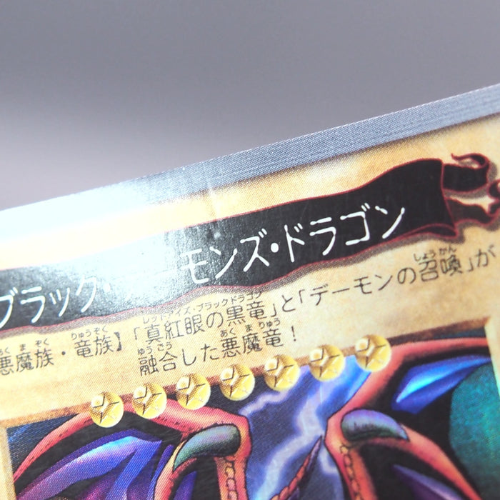 Image #7