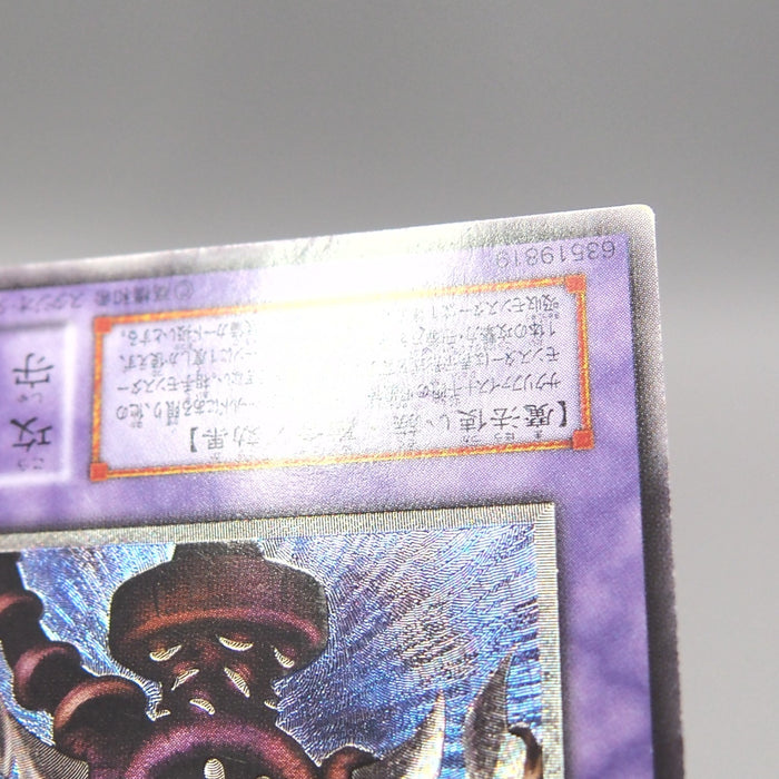 Image #11